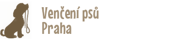 Primary Raster logo
